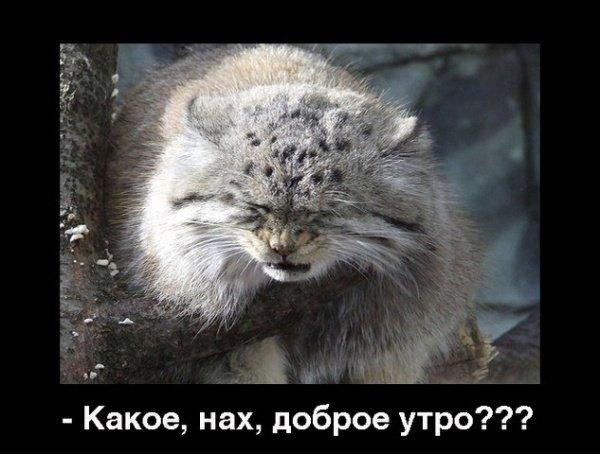 http://cs1424.vkontakte.ru/u16130218/79891315/x_1067aafd.jpg
