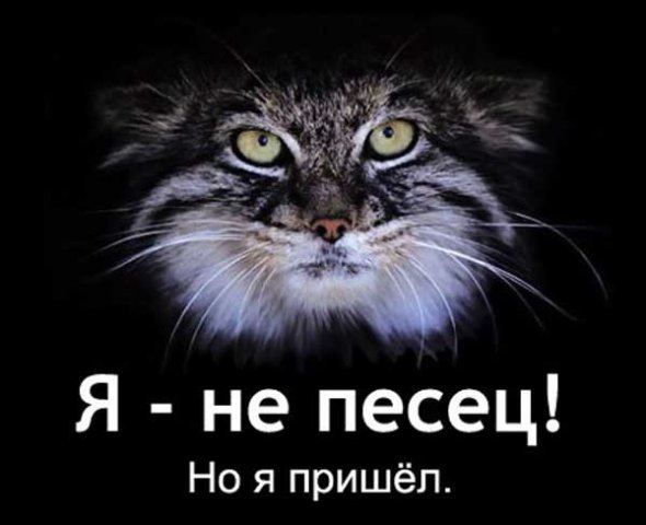 http://cs1424.vkontakte.ru/u16130218/79891315/x_411d8c91.jpg