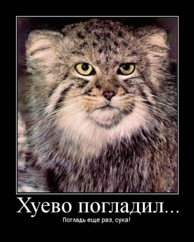 http://cs1424.vkontakte.ru/u16130218/79891315/x_4aaa29d3.jpg
