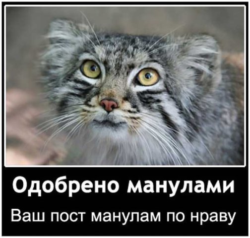 http://cs1424.vkontakte.ru/u16130218/79891315/x_c42b1b19.jpg