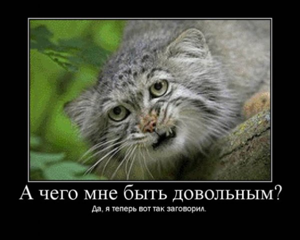 http://cs1424.vkontakte.ru/u16130218/79891315/x_cf4bf35e.jpg